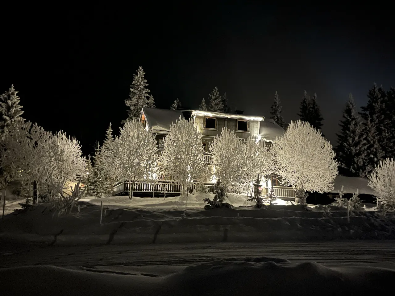 Fjellrast oplyst vinter